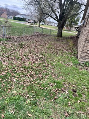 Before&after, front and backyard cleanup job - Before and after photos of a yard cleanup job for a wonderful customer 🤝😊 call, email or find me on Facebook to book your service today 🤠🚮🧹🍃 Before&after, front and backyard cleanup job - Before and after photos of a yard cleanup job for a wonderful customer 🤝😊 call, email or find me on Facebook to book your service today 🤠🚮🧹🍃
