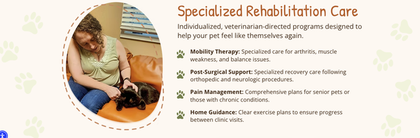 Rehabilitation Therapy - Family Pets. - Practice limited to 

- Acupuncture
Veterinary acupuncture uses very small, sterile needles at specific points on the body to support pain relief, neurologic function, and healing. We often use acupuncture for dogs and cats with arthritis, chronic joint pain, back pain, or lingering discomfort after surgery.


- Cold Laser / Low‑Level Light Therapy
Cold laser therapy (low‑level light therapy) uses focused light energy to improve circulation and support tissue repair. It is commonly used for soft tissue strains and sprains, tendon and ligament injuries, post‑surgical incisions, and localized inflammation.

- Pulsed Electromagnetic Field Therapy (PEMF)
PEMF therapy utilizes low‑level electromagnetic pulses to stimulate cellular repair and reduce pain. We may recommend it for chronic osteoarthritis, slow‑healing soft tissue injuries, back pain, or other long‑term pain conditions.

Treatments & Therapies We Use for family pets! 

- Heat Therapy
Heat therapy applies soothing warmth to tight or sore areas to relax muscles and improve circulation. It is often used for chronic muscle tension, age‑related stiffness, and to prepare tissues before stretching or therapeutic exercise.

- Neuromuscular Electrical Stimulation (NMES)
NMES uses controlled electrical stimulation to activate specific muscles. It is especially helpful for muscle atrophy after orthopedic surgery, weakness following neurologic injury, or limbs that your pet is hesitant or unable to use.

- Acoustic Compression Therapy (Shockwave)
Shockwave therapy delivers focused high-energy sound waves to areas of chronic injury or inflammation. We may suggest it for stubborn tendon and ligament injuries, lingering soft tissue pain, or certain chronic elbow and hip issues.


- Veterinary Medical Manipulation
Veterinary medical manipulation uses precise, gentle adjustments to restore joint motion and reduce restriction. It may help pets with reduced spinal mobility, compensatory back or neck pain, or gait and posture changes that don’t come from a single obvious injury.


 - Passive Range of Motion Exercises
Passive range of motion exercises involve gently moving joints through a comfortable range without your pet doing the work. We use them for early post‑operative recovery, stiff arthritic joints, and pets who have been immobilized in a cast or splint.

- Underwater Treadmill / Hydrotherapy
Manual and myofascial therapies use hands-on techniques to reduce pain, improve mobility, and relieve muscle tension. Treatments are adapted to each pet’s comfort and needs, and are commonly used for post-operative recovery, arthritis, chronic pain, and mobility support for senior pets.

- 
COMING SOON: Myofascial & Manual Therapy
Manual and myofascial therapies use hands-on techniques to reduce pain, improve mobility, and relieve muscle tension. Treatments are adapted to each pet’s comfort and needs, and are commonly used for post-operative recovery, arthritis, chronic pain, and mobility support for senior pets.