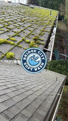 Roof and gutter cleaning Portland, Oregon  - Take care of your home  Roof and gutter cleaning Portland, Oregon  - Take care of your home 