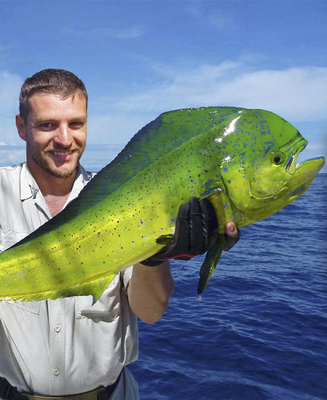 Santa Barbara’s only full-service tackle shop - Saltwater Anglers- Freshwater Fishing- Santa Barbara’s only full-service tackle shop Santa Barbara’s only full-service tackle shop - Saltwater Anglers- Freshwater Fishing- Santa Barbara’s only full-service tackle shop