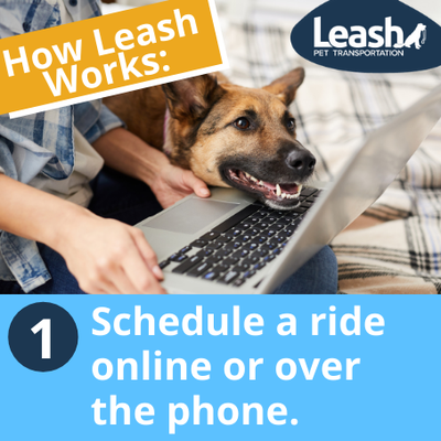 How it work? - How Leash Works!
1. Book a ride - Schedule a pet pick-up or drop-off online or with your Pet Care Provider when booking your next pet appointment (veterinarian, groomer, daycare, or boarder)
2. Doorstep pick-up & drop-off - A trusted Leash driver will arrive early and spend time getting to know your pet before taking them to their appointment and ensuring they are checked in.
3. Carry on with your day - Maintain social distancing or avoid taking time off work and rearranging schedules to pick-up or drop-off your pet. With Leash your pet is in good hands and on their way! How it work? - How Leash Works!
1. Book a ride - Schedule a pet pick-up or drop-off online or with your Pet Care Provider when booking your next pet appointment (veterinarian, groomer, daycare, or boarder)
2. Doorstep pick-up & drop-off - A trusted Leash driver will arrive early and spend time getting to know your pet before taking them to their appointment and ensuring they are checked in.
3. Carry on with your day - Maintain social distancing or avoid taking time off work and rearranging schedules to pick-up or drop-off your pet. With Leash your pet is in good hands and on their way!