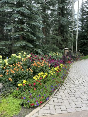 Entrance flower bed - Entrance flower bed Entrance flower bed - Entrance flower bed
