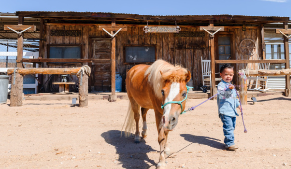 Photography Services - We are proud to offer high-quality, professional photography services to preserve the memories you make here with our horses, ponies, and unicorns.
Whether you're celebrating a birthday, hosting a special event, or simply enjoying a day at the ranch, our expert photographer will be there to capture every smile, laugh, and magical moment. With years of experience and a passion for storytelling through photography, our photographer ensures that every shot reflects the joy and wonder of your experience.
From close-ups with our gentle ponies to the magic of a unicorn ride, you’ll have beautiful, high-quality photos to remember your day. Our serene, picturesque ranch provides the perfect backdrop for stunning, one-of-a-kind images. You and your loved ones can focus on enjoying the day, while we take care of preserving the moments for you to cherish forever.
Whether you choose to book a professional photo session as part of your pony party or capture candid moments during your visit, we make sure that each photo session is personalized to fit your vision. Let us help you create lasting memories with our animals, professionally documented for you to treasure always. Photography Services - We are proud to offer high-quality, professional photography services to preserve the memories you make here with our horses, ponies, and unicorns.
Whether you're celebrating a birthday, hosting a special event, or simply enjoying a day at the ranch, our expert photographer will be there to capture every smile, laugh, and magical moment. With years of experience and a passion for storytelling through photography, our photographer ensures that every shot reflects the joy and wonder of your experience.
From close-ups with our gentle ponies to the magic of a unicorn ride, you’ll have beautiful, high-quality photos to remember your day. Our serene, picturesque ranch provides the perfect backdrop for stunning, one-of-a-kind images. You and your loved ones can focus on enjoying the day, while we take care of preserving the moments for you to cherish forever.
Whether you choose to book a professional photo session as part of your pony party or capture candid moments during your visit, we make sure that each photo session is personalized to fit your vision. Let us help you create lasting memories with our animals, professionally documented for you to treasure always.