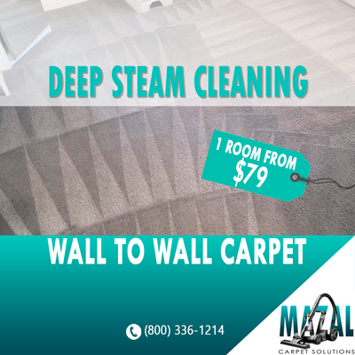 Professional Deep Steam Carpet Cleaning in New York City - At Mazal Carpet Solutions, we specialize in delivering exceptional deep steam cleaning services for carpets, ensuring your living and working spaces are pristine and healthy. Our advanced equipment and eco-friendly cleaning solutions penetrate deep into carpet fibers, effectively removing dirt, dust, and allergens that regular vacuuming can't reach.
We are offering our deep steam cleaning service for one room at just $79. Professional Deep Steam Carpet Cleaning in New York City - At Mazal Carpet Solutions, we specialize in delivering exceptional deep steam cleaning services for carpets, ensuring your living and working spaces are pristine and healthy. Our advanced equipment and eco-friendly cleaning solutions penetrate deep into carpet fibers, effectively removing dirt, dust, and allergens that regular vacuuming can't reach.
We are offering our deep steam cleaning service for one room at just $79.