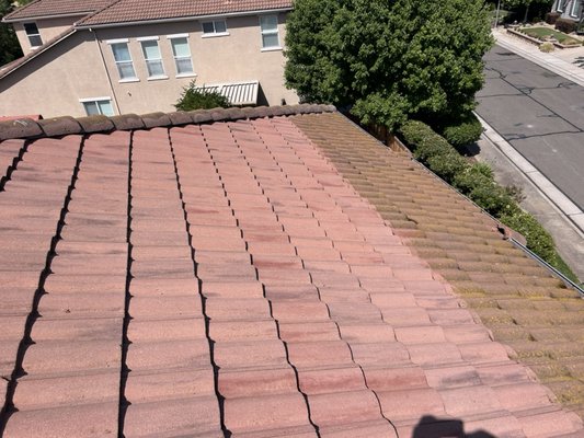 Pressure Washing - Tile roof that we just cleaned this week! Removed all moss, algae and grime. Looks completely spotless and brand new after being cleaned. Pressure Washing - Tile roof that we just cleaned this week! Removed all moss, algae and grime. Looks completely spotless and brand new after being cleaned.