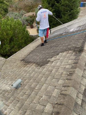 Roof cleaning 2022 - Here we are restoring a asphalt roof covered with roof mold (mildew) We apply a light soft wash application not only removing the mildew streaking and making the roof look new again we also extended its lifetime by at least 10 years. Roof cleaning 2022 - Here we are restoring a asphalt roof covered with roof mold (mildew) We apply a light soft wash application not only removing the mildew streaking and making the roof look new again we also extended its lifetime by at least 10 years.