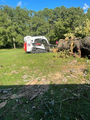 Checkout my tree skills and I'm insured - Need a tree cut down? we are First on the Tree, LLC. insured and ready to work with plenty of pro equipment. You get a free estimate and prompt service. We know how to rig tree branches to safely remove them from danger like power lines, vehicles, and your home. please feel free to call us. Ramiro. Checkout my tree skills and I'm insured - Need a tree cut down? we are First on the Tree, LLC. insured and ready to work with plenty of pro equipment. You get a free estimate and prompt service. We know how to rig tree branches to safely remove them from danger like power lines, vehicles, and your home. please feel free to call us. Ramiro.