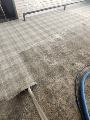 Restaurant Carpet Cleaning - A local restaurant's heavily trafficked carpet got a makeover with professional carpet cleaning. Fresh and ready for another round of hungry guests! Restaurant Carpet Cleaning - A local restaurant's heavily trafficked carpet got a makeover with professional carpet cleaning. Fresh and ready for another round of hungry guests!
