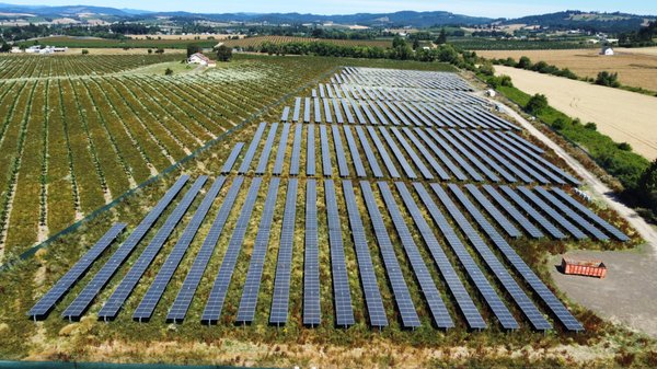 Solar Farm Cleaning - This project consisted of 2 large Solar farms in Oregon, each with 7192 Panels. This situation was unique because there was no water source available. All water had to be hauled in with our spray tanks. Due to the limited water we couldn't use machinery but had to hand clean all the panels.