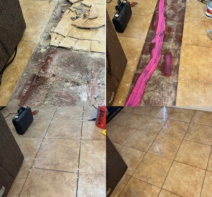Damaged Tile Replacement - Replaced cracked tile with new matching tile.
