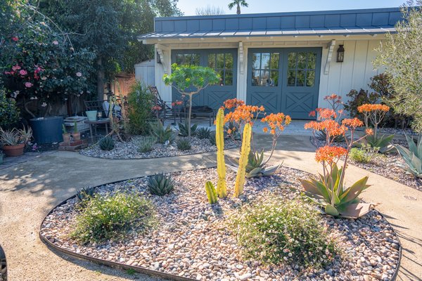Studio City Project part2 - Creative Desert landscape Design with low maintenance and water saving plants including a custom DG walkway, custom gravel beds, Beautiful Olive Tree and Sod installation Studio City Project part2 - Creative Desert landscape Design with low maintenance and water saving plants including a custom DG walkway, custom gravel beds, Beautiful Olive Tree and Sod installation