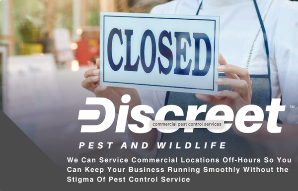 Commercial Pest Control - Commercial Pest Control
