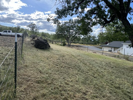Heavy clean up - Lets take care of you garden, overgrown weeds are us special "Let's take care of your garden. Overgrown weeds are our specialty." Heavy clean up - Lets take care of you garden, overgrown weeds are us special "Let's take care of your garden. Overgrown weeds are our specialty."