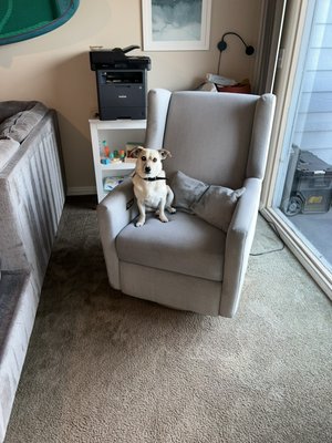 Huntington Beach Apartment - This Huntington Beach Apartment was clean two years ago. We are back here again today.