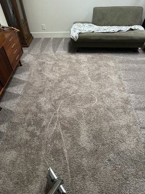 Deep Cleaning and Stain Removal - In these photos you see a before and after of heavy traffic from let’s and shoes from our side and the end results of deep steam cleaning! Deep Cleaning and Stain Removal - In these photos you see a before and after of heavy traffic from let’s and shoes from our side and the end results of deep steam cleaning!