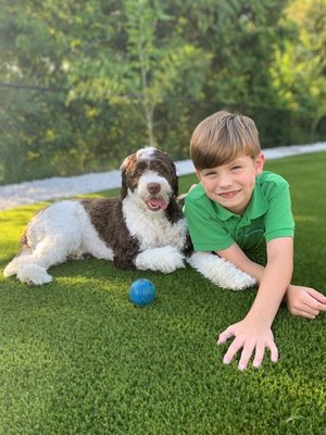 Pet Turf - ProGreen Orlando offers top-quality artificial turf for dogs, designed for durability and easy cleanup. Since 1987, we’ve been perfecting our pet turf with low pile heights and innovative backing to handle heavy traffic and play. Enjoy peace of mind knowing your investment will last, providing a safe and clean space for your furry friends.
