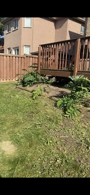 Untended backyard, full overgrowth removal - This home was purchased by a customer looking to move in, they wanted it all gone to start fresh. Within a days time, we cleared the entire area of any trees, weeds, and shrubs to the customer’s satisfaction! Untended backyard, full overgrowth removal - This home was purchased by a customer looking to move in, they wanted it all gone to start fresh. Within a days time, we cleared the entire area of any trees, weeds, and shrubs to the customer’s satisfaction!