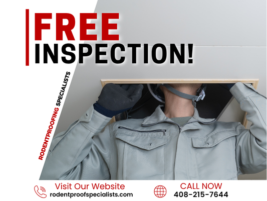 Call Now for a Free Inspection! - Call Now for a Free Inspection!