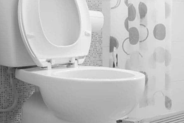 Toilet Clogs - At Centro Plumbing and Rooter, we provide immediate dispatch throughout the Bay Area for fast and reliable toilet drain clog services. Our experienced plumbers arrive promptly with professional equipment to diagnose and unclog your toilet drain quickly. Whether your toilet is overflowing, draining slowly, or completely backed up, we're ready to restore proper flow. We use proven drain clearing techniques to safely remove clogs without causing damage to your plumbing system. Our fully stocked service vehicles allow us to resolve most toilet drain problems on the first visit. We understand that clogged toilets can happen at any time, which is why we prioritize rapid response and dependable service. From simple toilet blockages to more stubborn drain line obstructions, our skilled technicians can handle the job efficiently. We proudly serve homeowners and businesses throughout the Bay Area with honest pricing and quality workmanship. Customer satisfaction is our top priority, and we strive to leave every toilet drain flowing smoothly before we leave. Contact Centro Plumbing and Rooter today for immediate dispatch and professional toilet drain unclogging services you can trust.