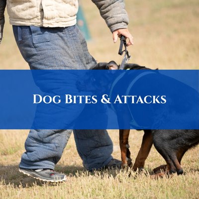 Dog Bites & Attacks - Colorado law holds dog owners strictly liable for serious bites, and our experienced attorneys can help you get the compensation you're entitled to. Reach out to Bowman Law to discuss your case.
