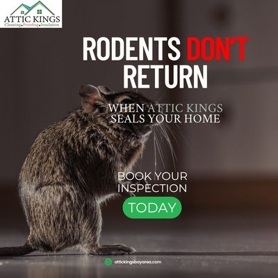 Rodent Proofing - Attic Kings Animal Removal can remove any wildlife that wanders into your home. But we don't stop there. We'll also seal and animal proof the points of entry so that they cannot re-enter your home ever again. Plus, we'll decontaminate the area so it doesn't pose a threat to you or your family's health. After we're done, your house will be good as new.