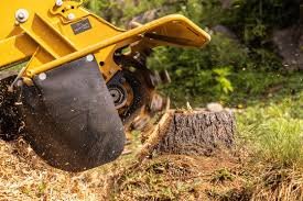 Stump Grinding - Stump Grinding