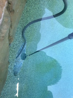 AQUA POOL LEAKS DETECTION - Updated January 2026 - 42 Photos & 42