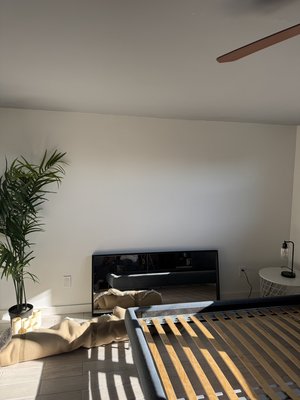 TV and mirrors installation - Client was moved from another state and they needed some hand with tv and mirrors. They were really thankful for my job.