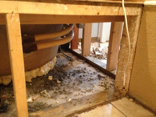 Water Damage - Water Damage Inside a Tub Surround – It can happen, look for bubbles in paint or cracked grout lines in tile. Often, the leak will lead to mold before noticed. Trust your nose, if you smell mold, call the experts, Classic Restoration at 727-400-4720! Water Damage - Water Damage Inside a Tub Surround – It can happen, look for bubbles in paint or cracked grout lines in tile. Often, the leak will lead to mold before noticed. Trust your nose, if you smell mold, call the experts, Classic Restoration at 727-400-4720!