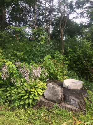 Brush/Overgrowth Clearing - This clearing was done at an old school mansion. Using our state-of-the-art equipment, we were done within a few hours without fail.