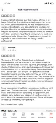 Hidden Yelp Reviews! - Hidden Yelp review!