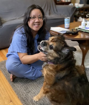 Acupuncture Now Available! - The Fishtown location of The Pet Mechanic offers holistic treatment options! If you think acupuncture might be a benefit to your senior or chronically disadvantaged pet, give us a call today. Acupuncture Now Available! - The Fishtown location of The Pet Mechanic offers holistic treatment options! If you think acupuncture might be a benefit to your senior or chronically disadvantaged pet, give us a call today.