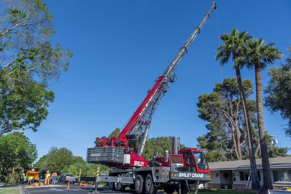 Massive Pine Removal With Crane - Large Pine tree in central phoenix that needed to be removed. With the help of a 110t crane we were able to safely complete the project. Massive Pine Removal With Crane - Large Pine tree in central phoenix that needed to be removed. With the help of a 110t crane we were able to safely complete the project.
