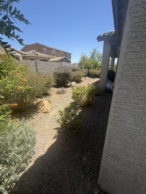 backyard cleaning, shrub trimming, blowing, raking - backyard cleaning, shrub trimming, blowing, raking backyard cleaning, shrub trimming, blowing, raking - backyard cleaning, shrub trimming, blowing, raking