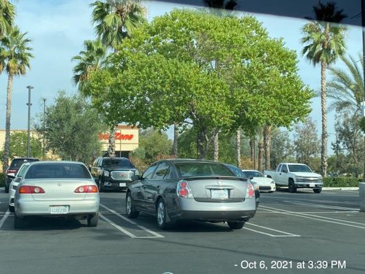 Missing Person - This missing person investigation was conducted on an adult female. After approximately 2 days of investigation the young female was reunited with her family. Missing Person - This missing person investigation was conducted on an adult female. After approximately 2 days of investigation the young female was reunited with her family.