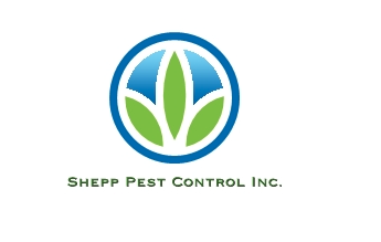 Emergency Pest Services - Count on us for prompt and reliable assistance during pest emergencies. From common insects to tricky critters, we've got your pest problems covered. Our team of professionals uses effective and environmentally friendly methods to keep pests at bay.
Text Us or Call For A Free Quotation! (708) 975 4771 Emergency Pest Services - Count on us for prompt and reliable assistance during pest emergencies. From common insects to tricky critters, we've got your pest problems covered. Our team of professionals uses effective and environmentally friendly methods to keep pests at bay.
Text Us or Call For A Free Quotation! (708) 975 4771