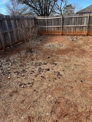 Lawn Before & After - Here is an example of how detail-oriented our scoopers are. We strive to make your yard clean and healthy! We'd love the chance to make your lawn SUPER! Lawn Before & After - Here is an example of how detail-oriented our scoopers are. We strive to make your yard clean and healthy! We'd love the chance to make your lawn SUPER!