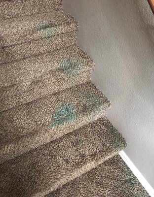 Stain removal - We can take care of your carpet during an emergency, if you spilled some chemicals and need them cleaned. Stain removal - We can take care of your carpet during an emergency, if you spilled some chemicals and need them cleaned.