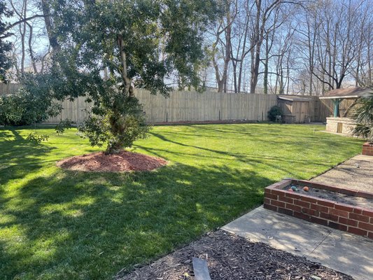 Backyard Lawn Care - Bagging and striping services. Backyard Lawn Care - Bagging and striping services.