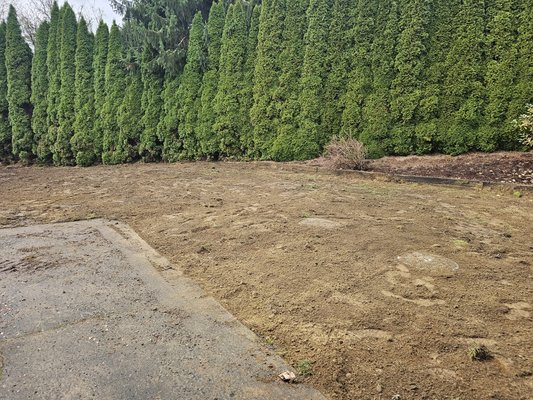 Replacement Gravity Septic for Real Estate sale - This project resulted from the client calling to get a 2nd opinion. The home had been purchased 4yrs prior, and they needed to relocate for work. Unfortunately, the septic inspection that was performed when they purchased the home was incomplete and inaccurate, missing several key deficiencies.

In order to complete the sale, a new drainfield was needed. We were able to assist with securing a designer and getting the entire process completed before the new owners moved in.