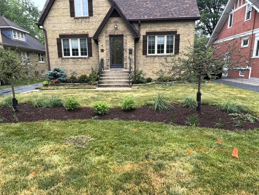 Northbrook Landscape Renovation - We helped this client to transform their front Landscape. There was nothing at first but we saw the potential it had and executed it now they can enjoy a nice landscape for years Northbrook Landscape Renovation - We helped this client to transform their front Landscape. There was nothing at first but we saw the potential it had and executed it now they can enjoy a nice landscape for years