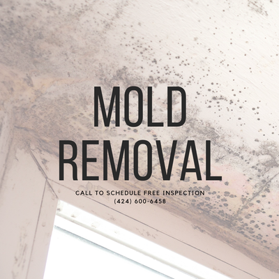 Mold Removal - Discover a safe and efficient solution for mold removal with California Clear Air. Our professional services prioritize your well-being while effectively eliminating mold and its harmful effects. We handle the hazardous nature of mold removal products with utmost care, emphasizing safety precautions such as personal protective equipment (PPE) and proper room ventilation. Our comprehensive mold remediation process involves meticulous disposal of moldy porous materials like drywall and insulation, as well as thorough cleaning and disinfection of carpets and personal items that can be salvaged. For added assurance, we conduct post-remediation inspections to ensure the highest standards of performance. Call us today for a free inspection of your home and seize the opportunity to receive up to a 10% discount!