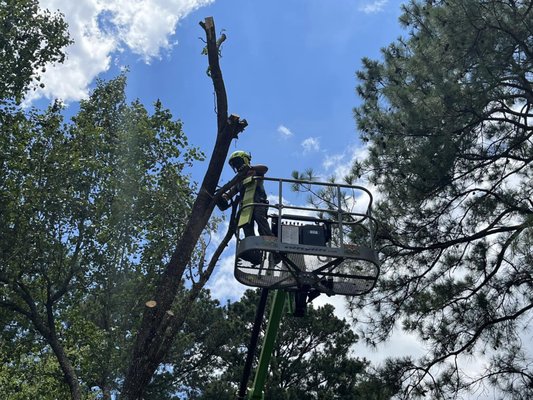 On The Job With Perks Tree Masters - Make PERKS TREEMASTERS your first choice for tree removal services. Our crew has the skills and equipment needed to remove hazardous trees without damaging your property. We can also cut trees into firewood, upon request.