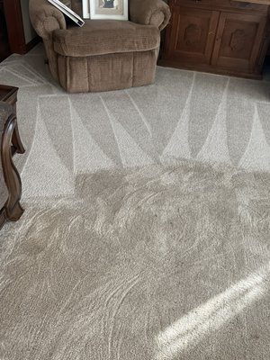 Pet stains and odor - These photos show the fantastic results we get when we use our pet treatment product. Not only does it remove stains, it removes the odors that are left behind in the fibers. Pet stains and odor - These photos show the fantastic results we get when we use our pet treatment product. Not only does it remove stains, it removes the odors that are left behind in the fibers.