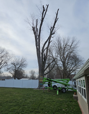 Tree Removal - We offer all kinds of tree removal, trimming, and pruning throughout the greater St. Louis area - with a smile too!