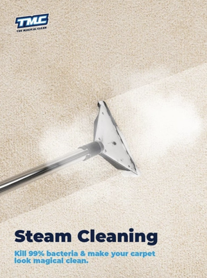 CARPET CLEANING & MORE - Please take a look at our company and our services. choose us to clean your carpet he will not regret it.