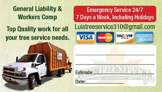 Tree Service - You can call or text to schedule an appointment for a free estimate. Tree Service - You can call or text to schedule an appointment for a free estimate.