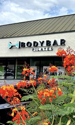 BODYBAR Pilates South Lamar - We are so excited to be open to the Austin community. Your first class is FREE at BODYBAR! Visit our instagram/facebook @bodybarsouthlamar for more details or call 512-212-7733! CHEERS! BODYBAR Pilates South Lamar - We are so excited to be open to the Austin community. Your first class is FREE at BODYBAR! Visit our instagram/facebook @bodybarsouthlamar for more details or call 512-212-7733! CHEERS!