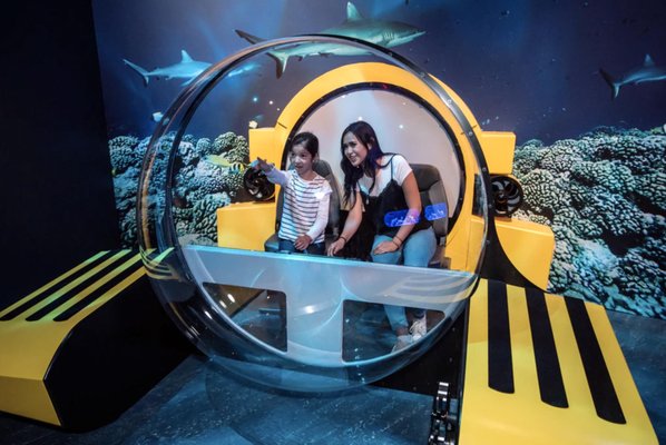 Unseen Oceans - Dive into an unseen ocean!

Visitors to Discovery Place Science’s Unseen Oceans exhibition will explore creatures and ecosystems that they never knew existed. With stunning visuals and interactive exhibits, this is a can’t-miss attraction for anyone interested in the ocean. Plus, learn about how scientists are using cutting-edge technology to explore the oceans like never before.