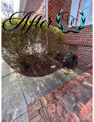 Leaf & Pine Removal B&A - These photos are a representation of leaf removal work. Leaf removal from roofs, atop gutter guards, and the perimeter of a residential house.